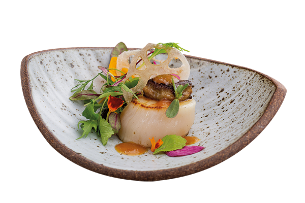 Telma Shiraishi - Aizomê - Jornal aQuadra