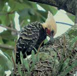 jornal aQuadra - vida de bairro - Jardins