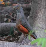 jornal aQuadra - vida de bairro - Jardins