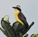 jornal aQuadra - vida de bairro - Jardins