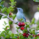 jornal aQuadra - vida de bairro - Jardins