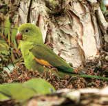 jornal aQuadra - vida de bairro - Jardins
