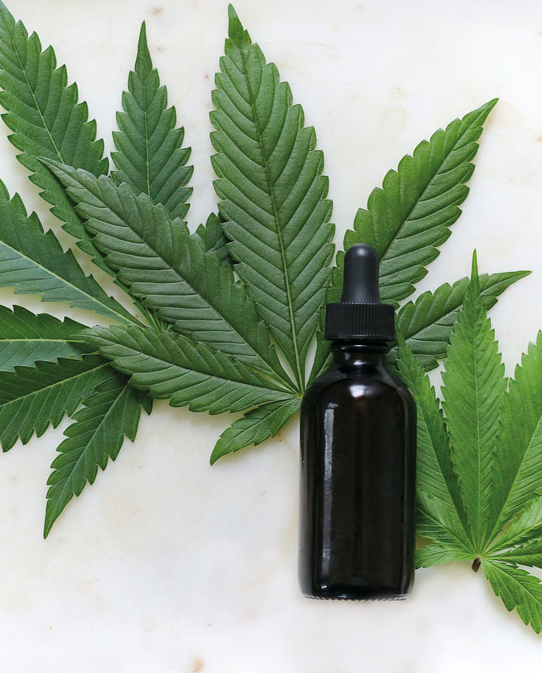 Cannabis para a saúde - Jornal aQuadra