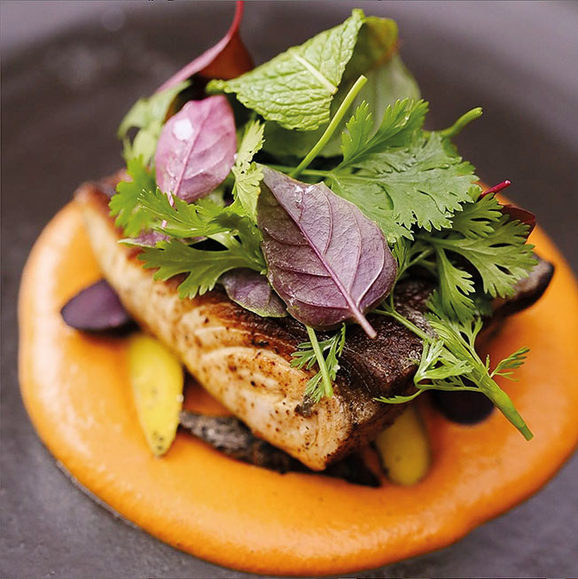 Metzi gastronimia jornal aQuadra