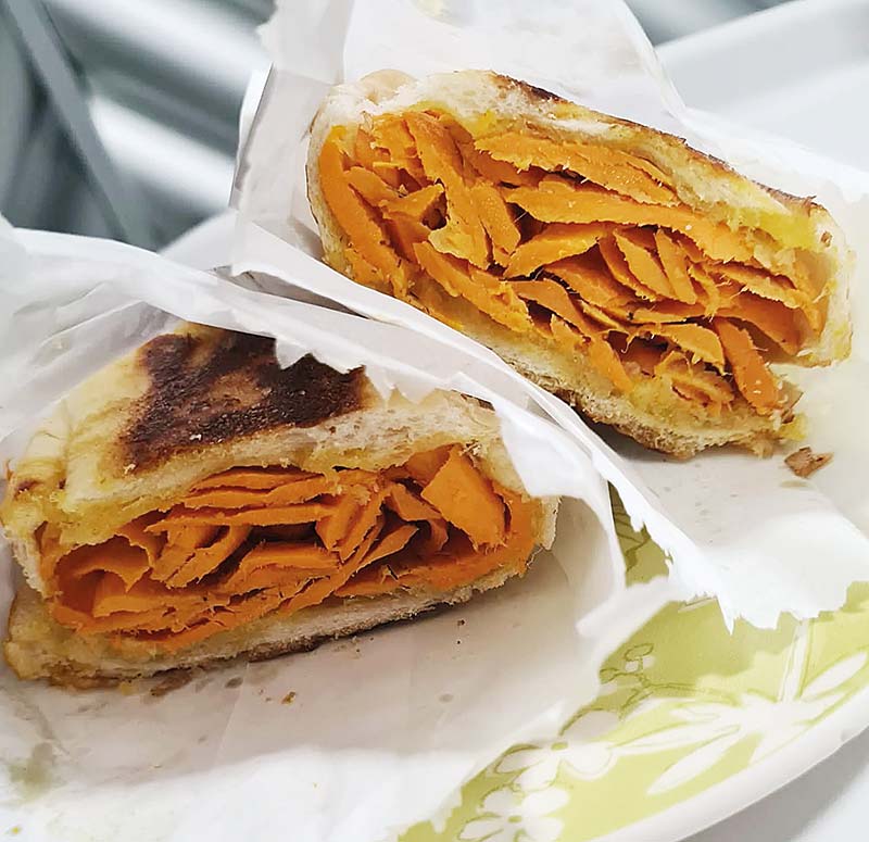 Uma viagem profunda e silenciosa pela Amazônia, ao som da rica natureza da fauna e da flora