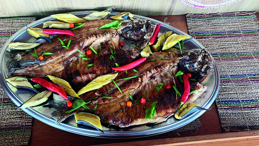 Uma viagem profunda e silenciosa pela Amazônia, ao som da rica natureza da fauna e da flora