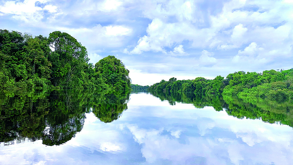 Uma viagem profunda e silenciosa pela Amazônia, ao som da rica natureza da fauna e da flora