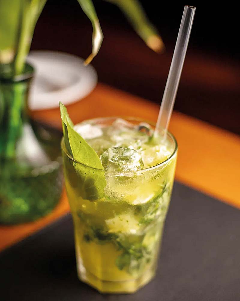 Uma viagem profunda e silenciosa pela Amazônia, ao som da rica natureza da fauna e da flora