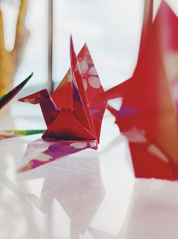 Bassy Arcuschin Machado - Arte com Papel - Jornal aQuadra