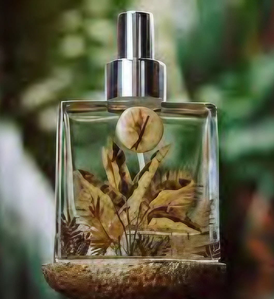 Feira Rosembaum - Cris Rosembaou, - Jornal aQuadra