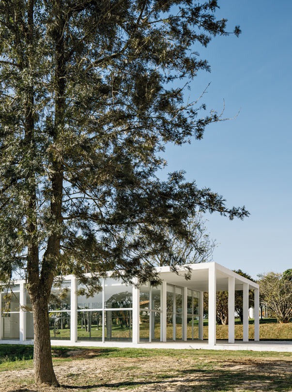 Agrofloresta - Carolina e João Paulo Pacífico - Jornal aQuadra