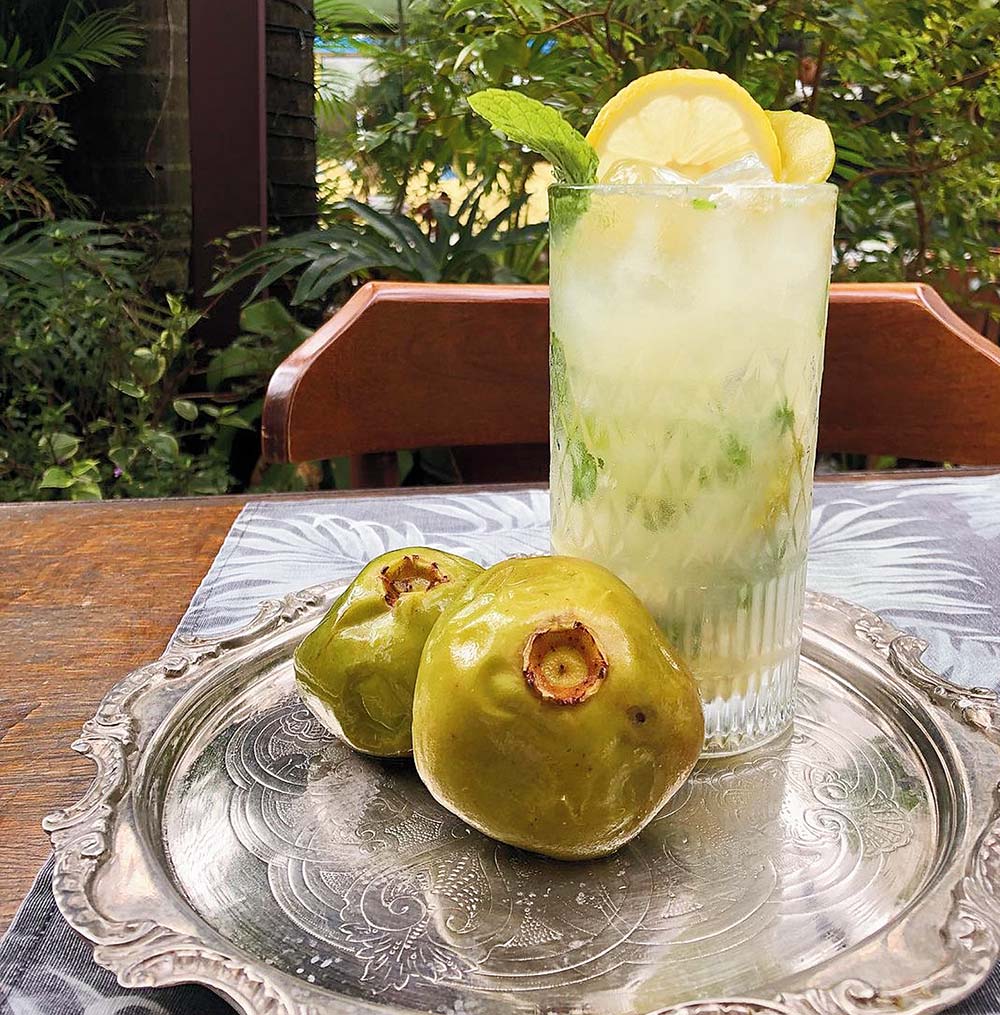 Tudo à mão - Caminhada por Perdizes - Jornal aQuadra