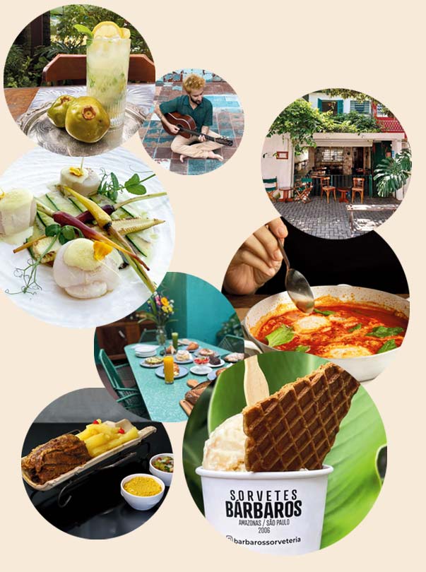 Tudo à mão - Caminhada por Perdizes - Jornal aQuadra