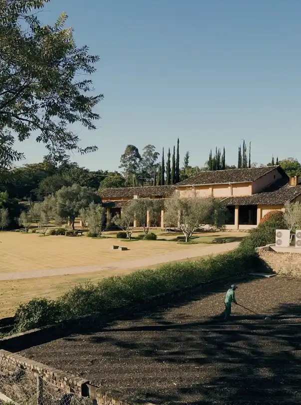 Novos caminhos do vinho - Gastronomia - Jornal aQuadra