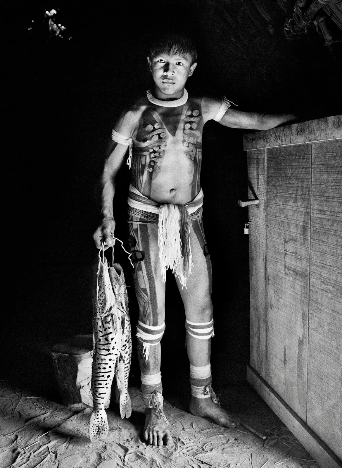 Paraíso na Terra, por Sebastião salgado - Jornal aQuadra