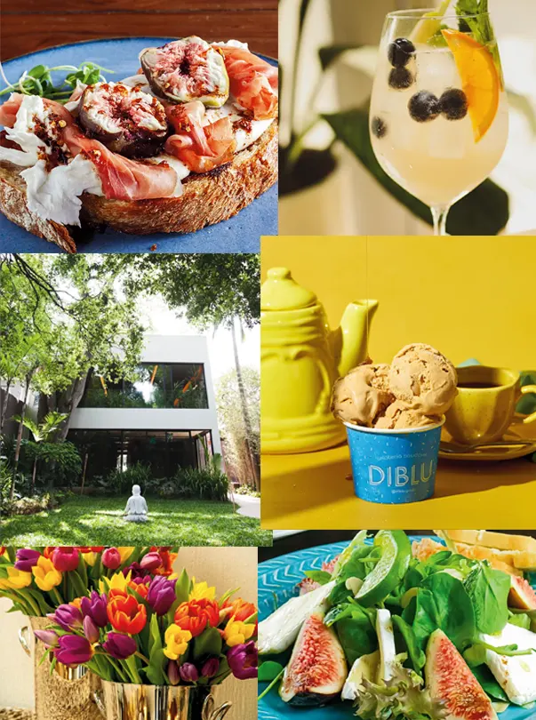 Vila Nova Conceição - Caminhada - Jornal aQuadra