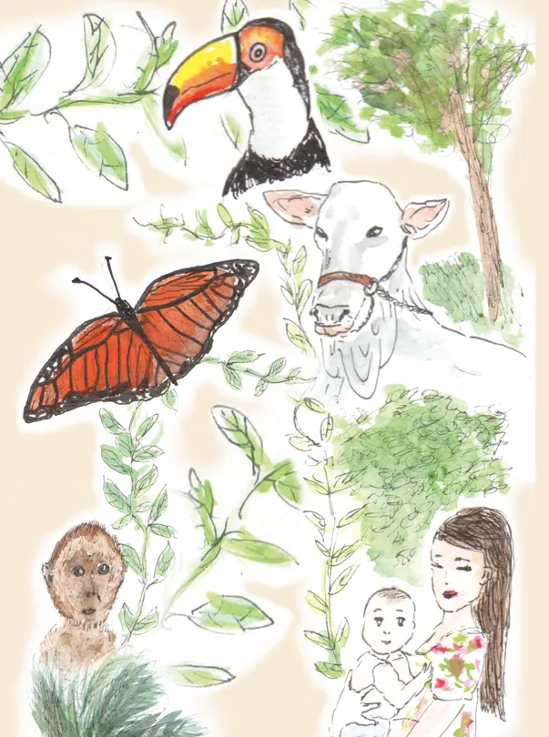 Crônica - Jornal aQuadra