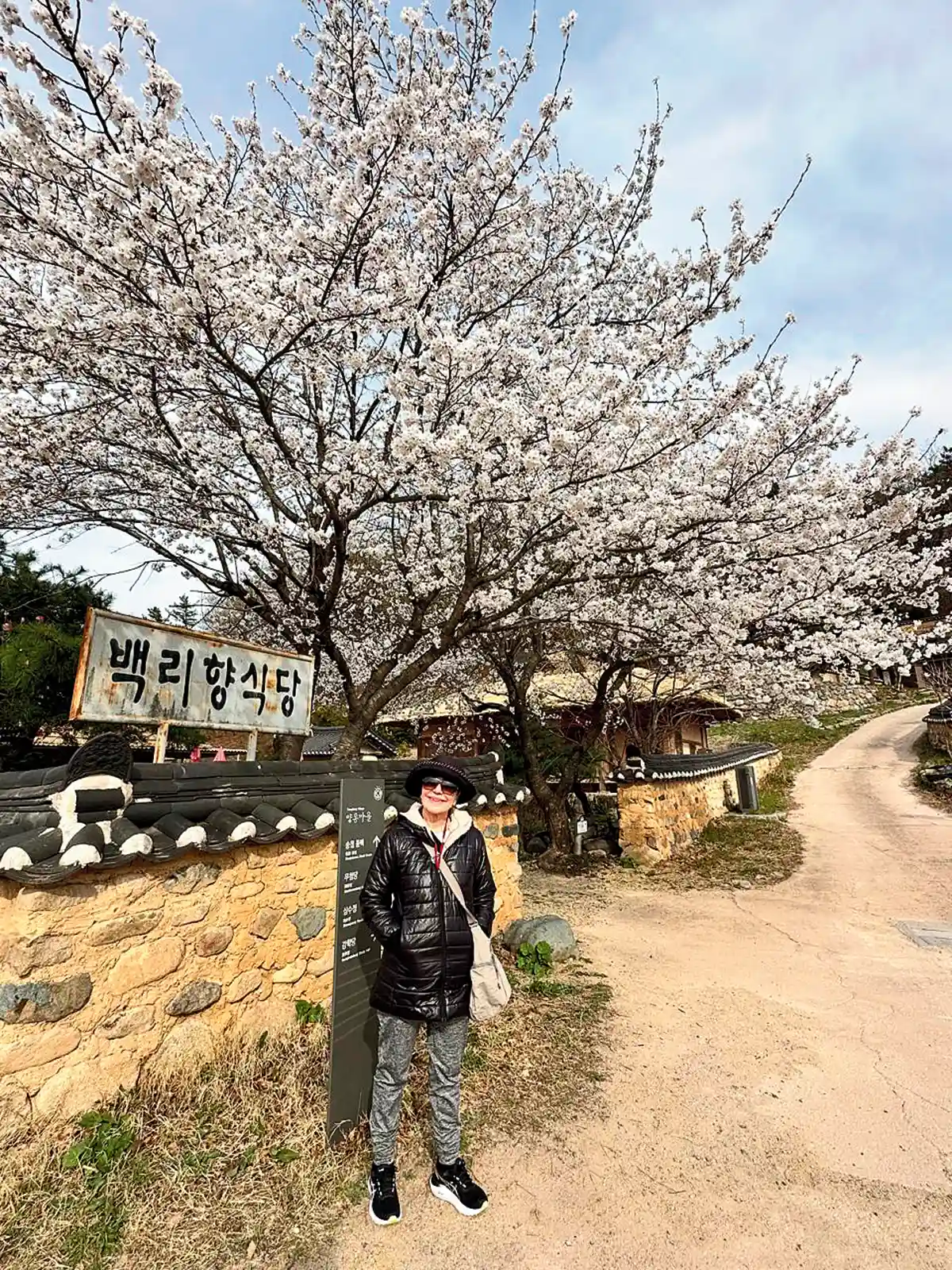 Coreia do Sul - Jornal aQuadra