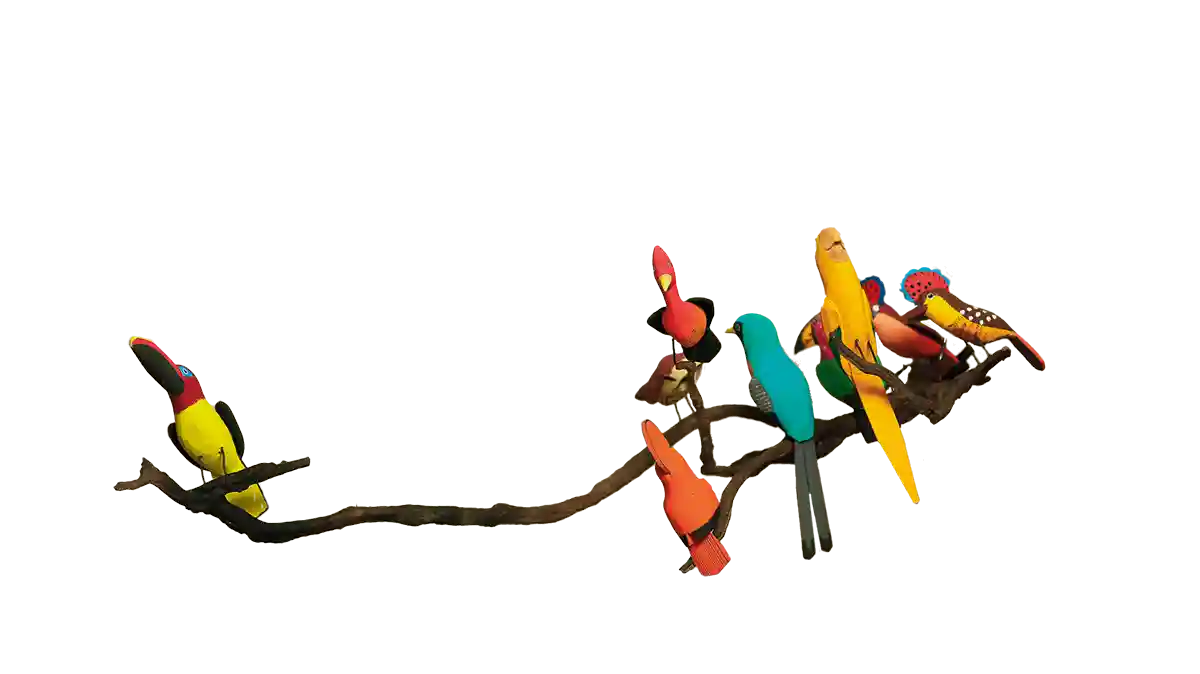 Radar Helena - Jornal aQuadra