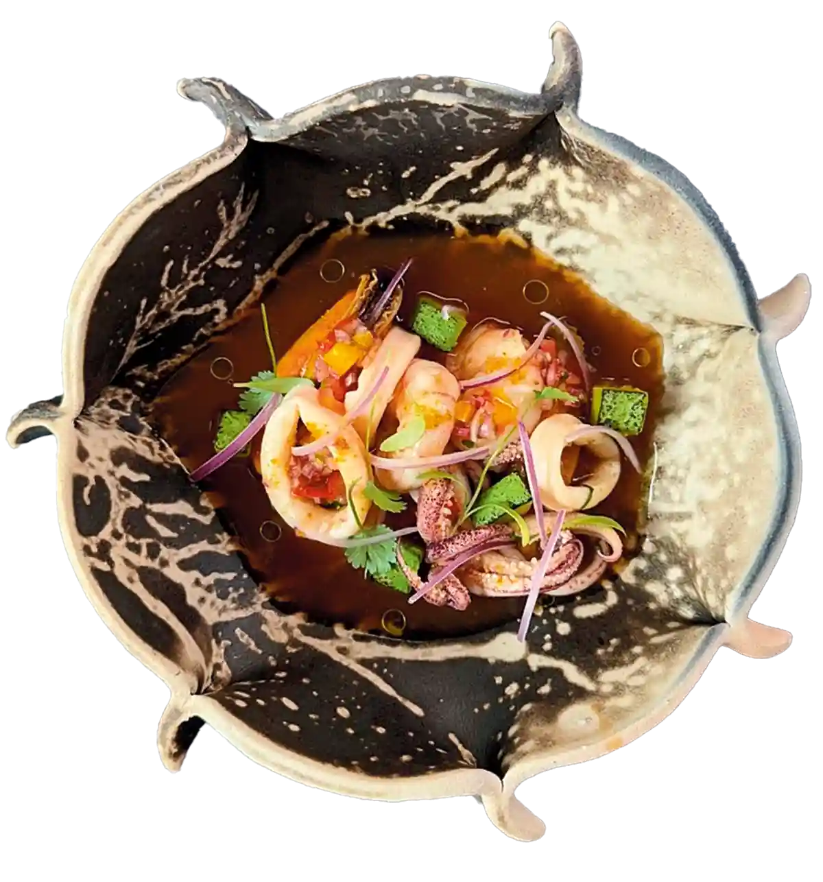 Radar Helena - Jornal aQuadra